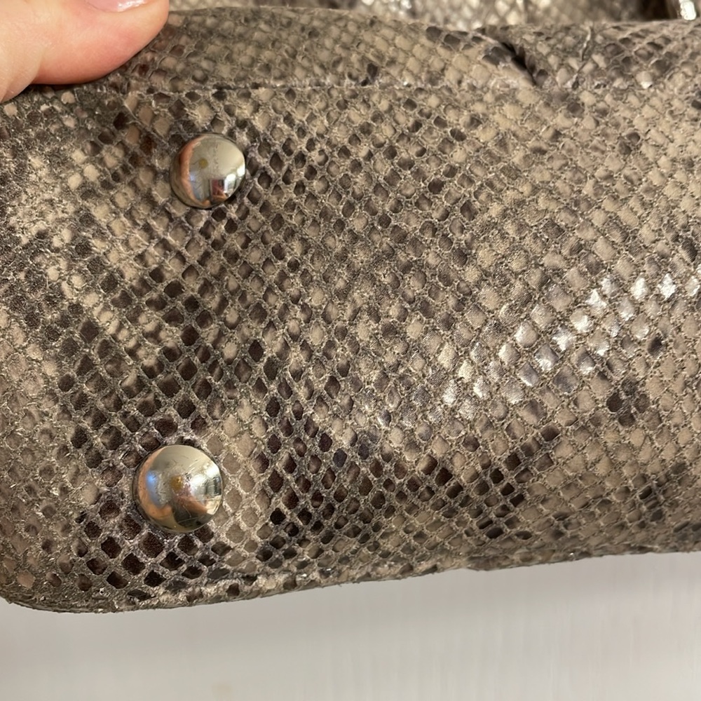 Beautiful Pre Loved Python Coach - image 4
